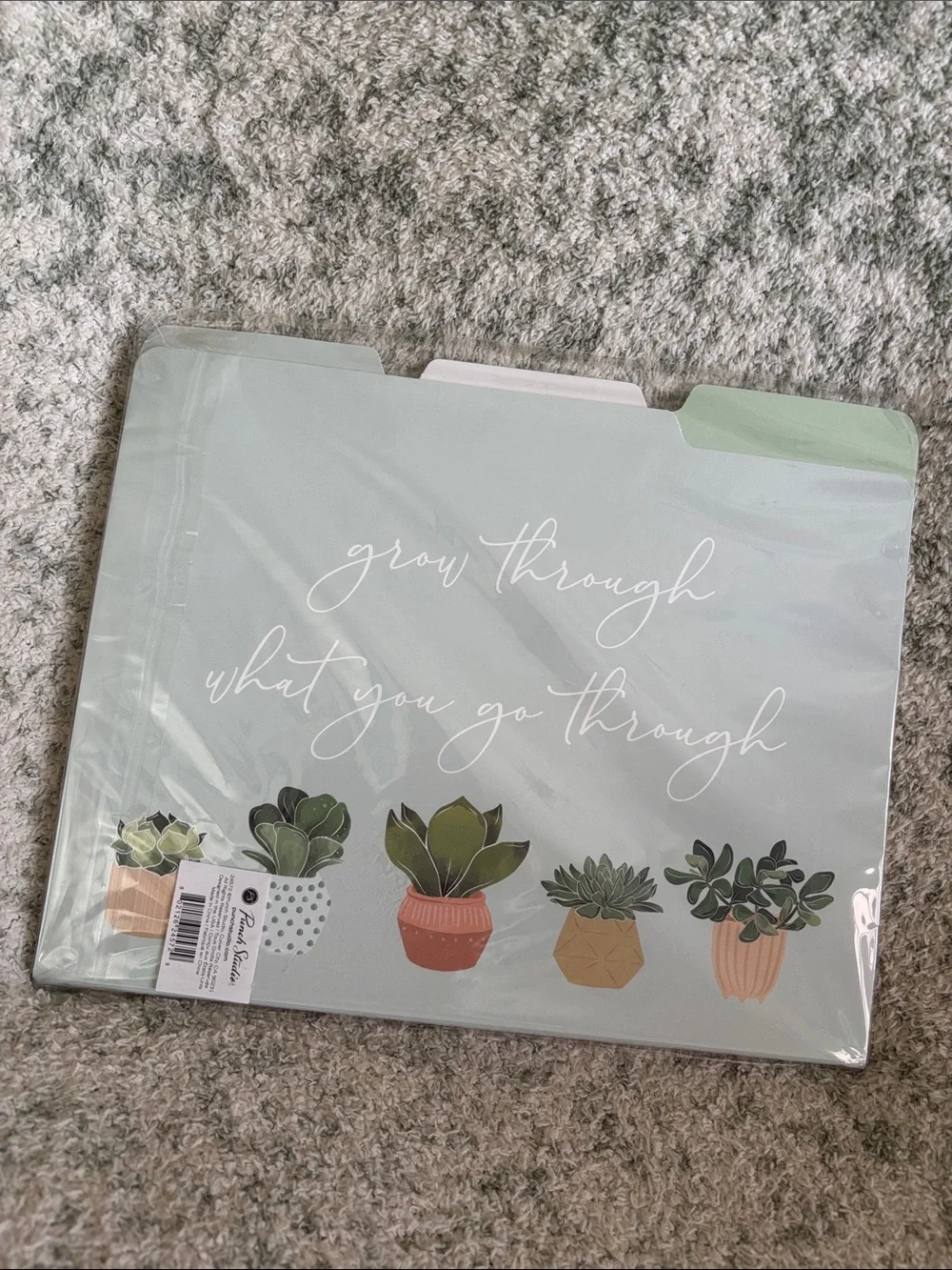 Punch Studio Designer Mint Green Succulent Cactus File Folders Set of 9 NWT
